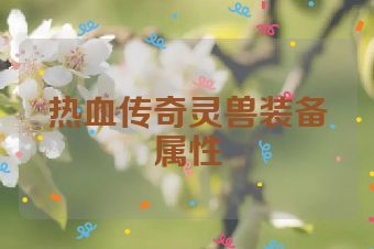 热血传奇灵兽装备属性