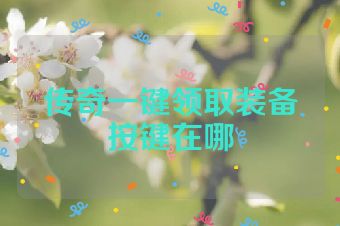 传奇一键领取装备按键在哪