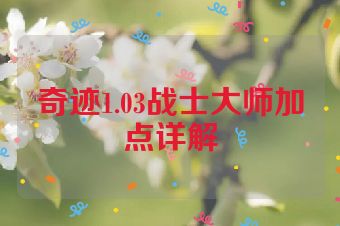 奇迹1.03战士大师加点详解