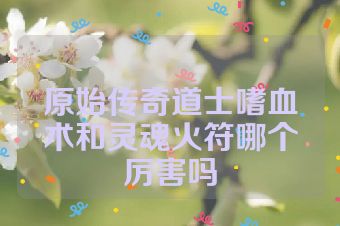 原始传奇道士嗜血术和灵魂火符哪个厉害吗