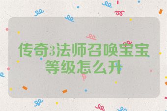 传奇3法师召唤宝宝等级怎么升