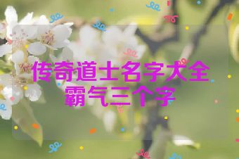 传奇道士名字大全霸气三个字