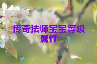 传奇法师宝宝等级属性