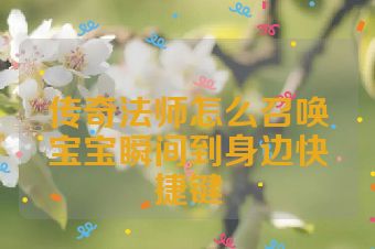 传奇法师怎么召唤宝宝瞬间到身边快捷键