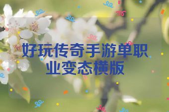 好玩传奇手游单职业变态横版