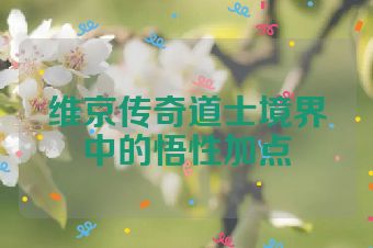 维京传奇道士境界中的悟性加点