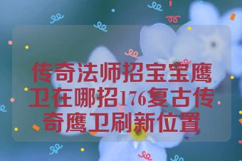 传奇法师招宝宝鹰卫在哪招176复古传奇鹰卫刷新位置