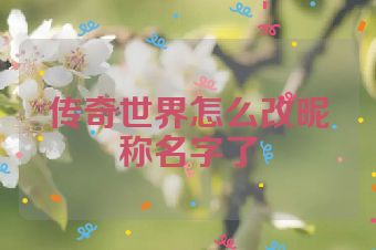传奇世界怎么改昵称名字了