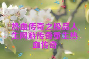 热血传奇之极品人生网游传奇重生热血传奇