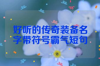 好听的传奇装备名字带符号霸气短句