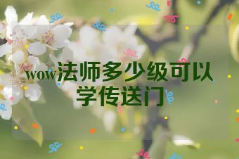 wow法师多少级可以学传送门