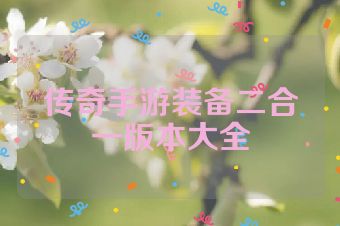 传奇手游装备二合一版本大全