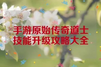 手游原始传奇道士技能升级攻略大全