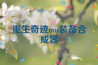 重生奇迹mu装备合成器