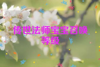 传世法师宝宝召唤等级