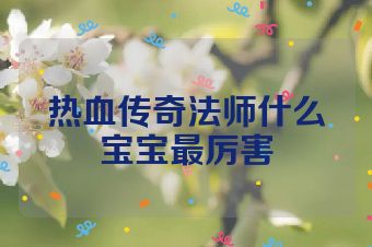 热血传奇法师什么宝宝最厉害