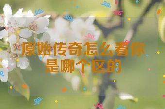 原始传奇怎么看你是哪个区的