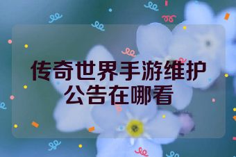 传奇世界手游维护公告在哪看