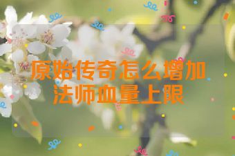 原始传奇怎么增加法师血量上限