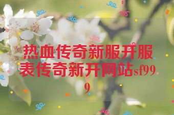 热血传奇新服开服表传奇新开网站sf999