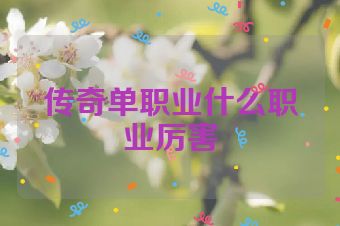 传奇单职业什么职业厉害