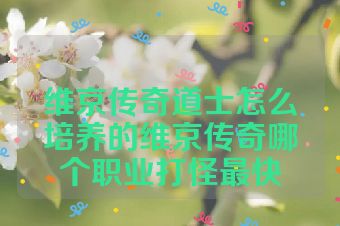 维京传奇道士怎么培养的维京传奇哪个职业打怪最快