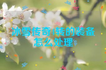 冰雪传奇4转的装备怎么处理