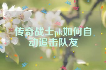 传奇战士pk如何自动追击队友