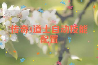 传奇4道士自动技能配置