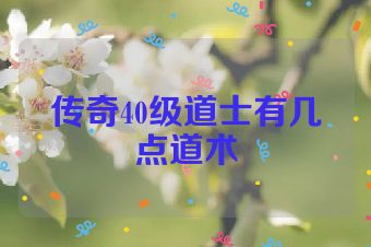 传奇40级道士有几点道术