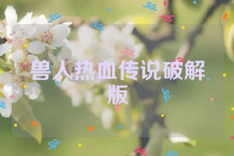 兽人热血传说破解版