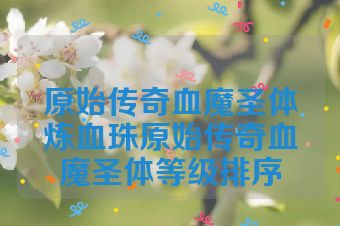 原始传奇血魔圣体炼血珠原始传奇血魔圣体等级排序