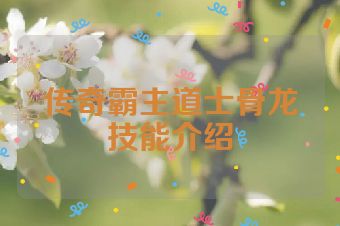 传奇霸主道士骨龙技能介绍