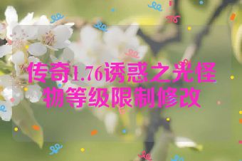 传奇1.76诱惑之光怪物等级限制修改
