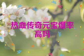 热血传奇元宝爆率高吗