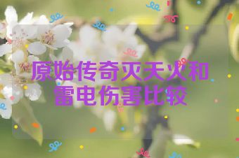 原始传奇灭天火和雷电伤害比较
