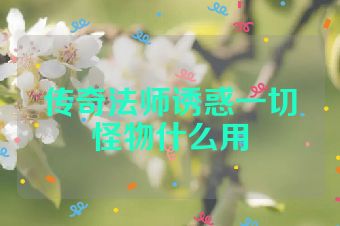 传奇法师诱惑一切怪物什么用