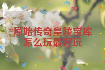 原始传奇皇陵宝库怎么玩最好玩