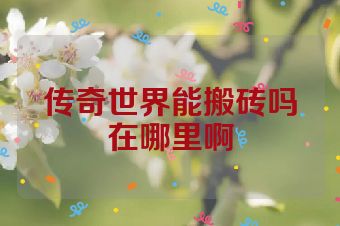传奇世界能搬砖吗在哪里啊