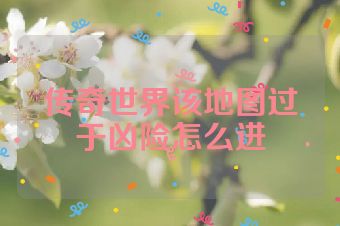 传奇世界该地图过于凶险怎么进