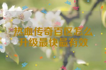 热血传奇百区怎么升级最快最有效