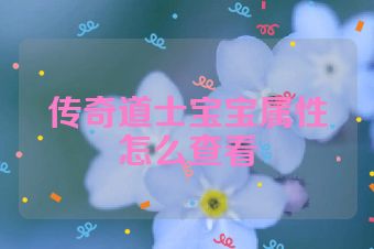 传奇道士宝宝属性怎么查看
