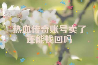热血传奇账号卖了还能找回吗