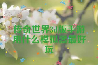 传奇世界3d版手游用什么模拟器最好玩
