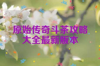 原始传奇斗茶攻略大全最新版本
