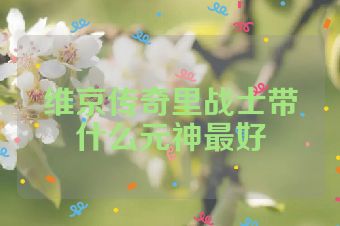 维京传奇里战士带什么元神最好