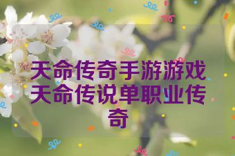 天命传奇手游游戏天命传说单职业传奇
