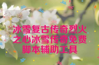 冰雪复古传奇烈火之心冰雪传奇免费脚本辅助工具
