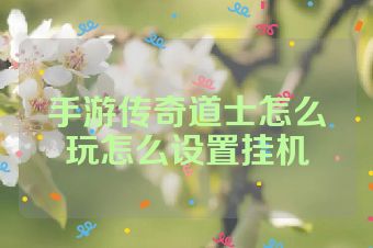 手游传奇道士怎么玩怎么设置挂机