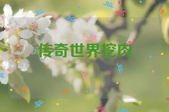 传奇世界挖肉